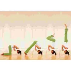 Feetup "Classic" Trainer -Total Fitness Shop 259 6802 2