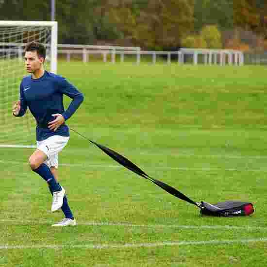 Cougar Weight Bag 2 Cougar Weight Bag - Image 2