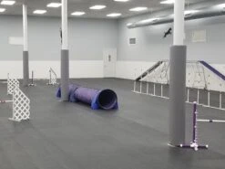 AK Athletic Equipment 6' Tall Pole Pad, 9" Diameter